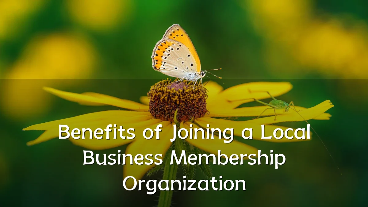 Benefits of Joining a Local Business Membership Organization