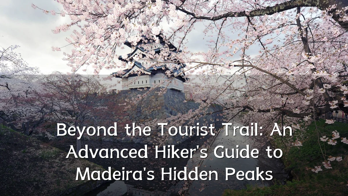 Beyond the Tourist Trail: An Advanced Hiker's Guide to Madeira's Hidden Peaks
