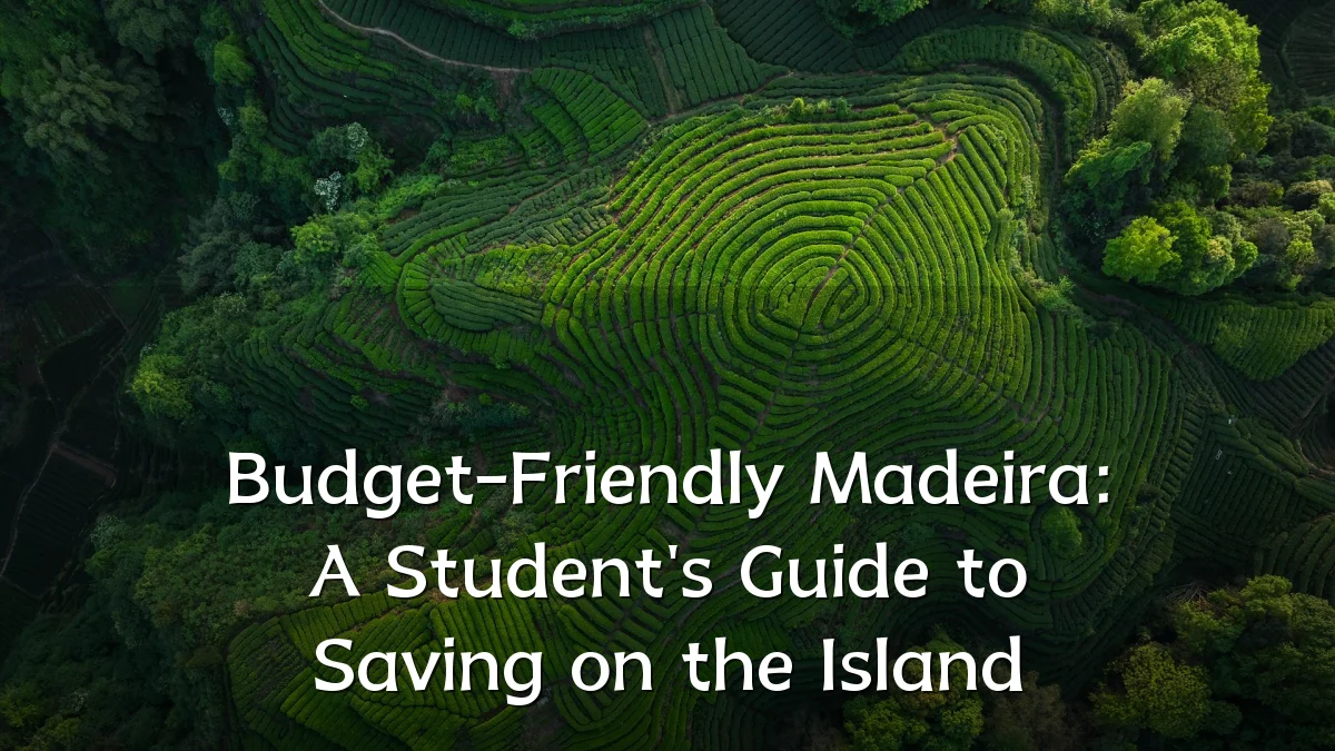 Budget-Friendly Madeira: A Student's Guide to Saving on the Island