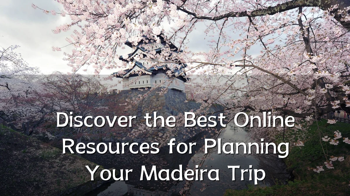 Discover the Best Online Resources for Planning Your Madeira Trip