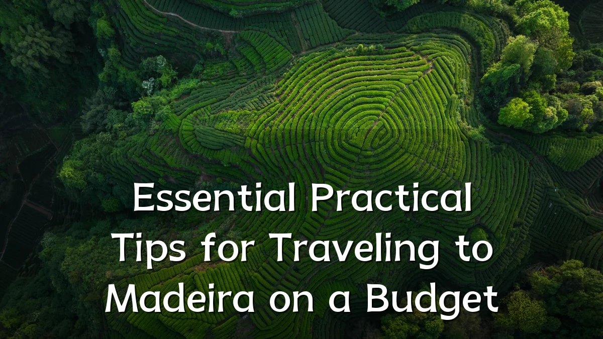 Essential Practical Tips for Traveling to Madeira on a Budget