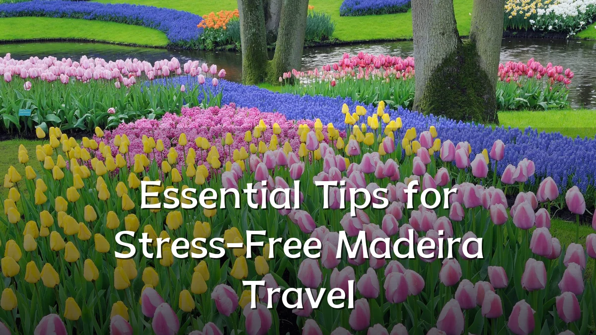 Essential Tips for Stress-Free Madeira Travel