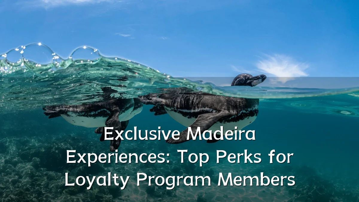 Exclusive Madeira Experiences: Top Perks for Loyalty Program Members