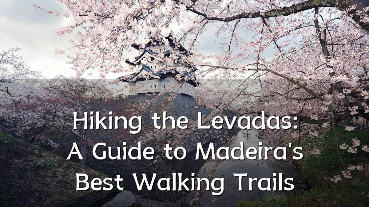 Hiking the Levadas: A Guide to Madeira's Best Walking Trails