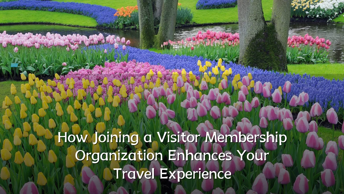 How Joining a Visitor Membership Organization Enhances Your Travel Experience