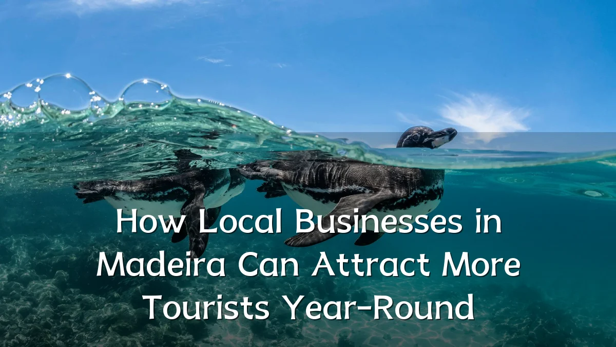 How Local Businesses in Madeira Can Attract More Tourists Year-Round