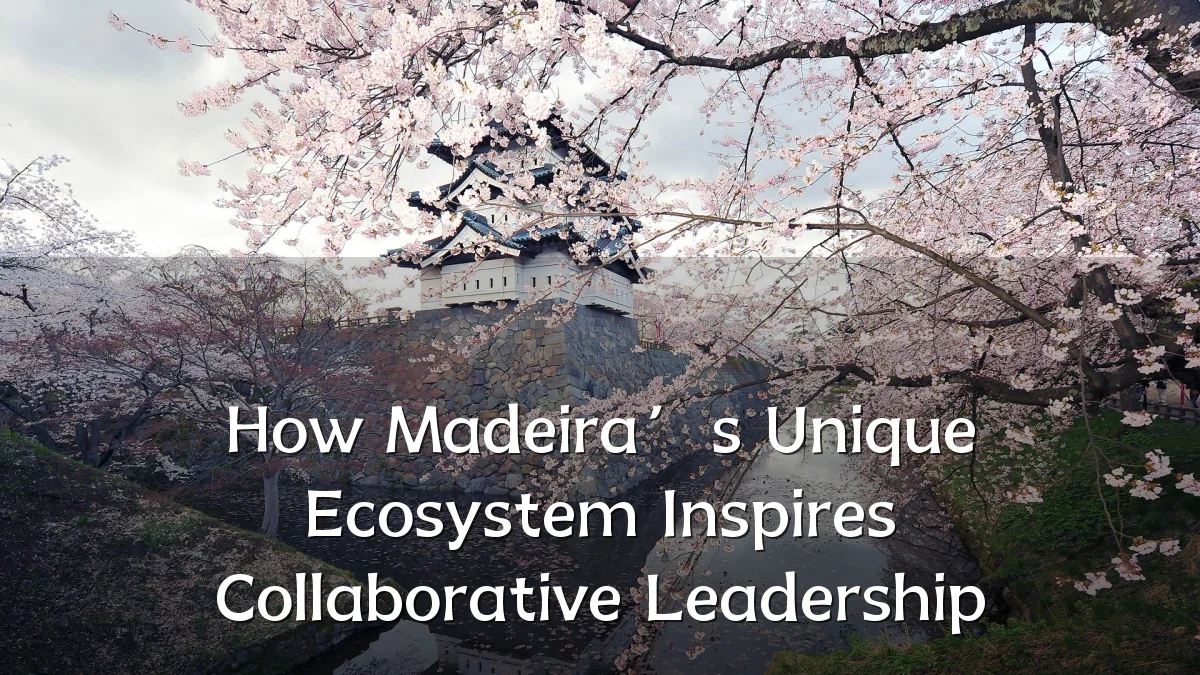 How Madeira’s Unique Ecosystem Inspires Collaborative Leadership