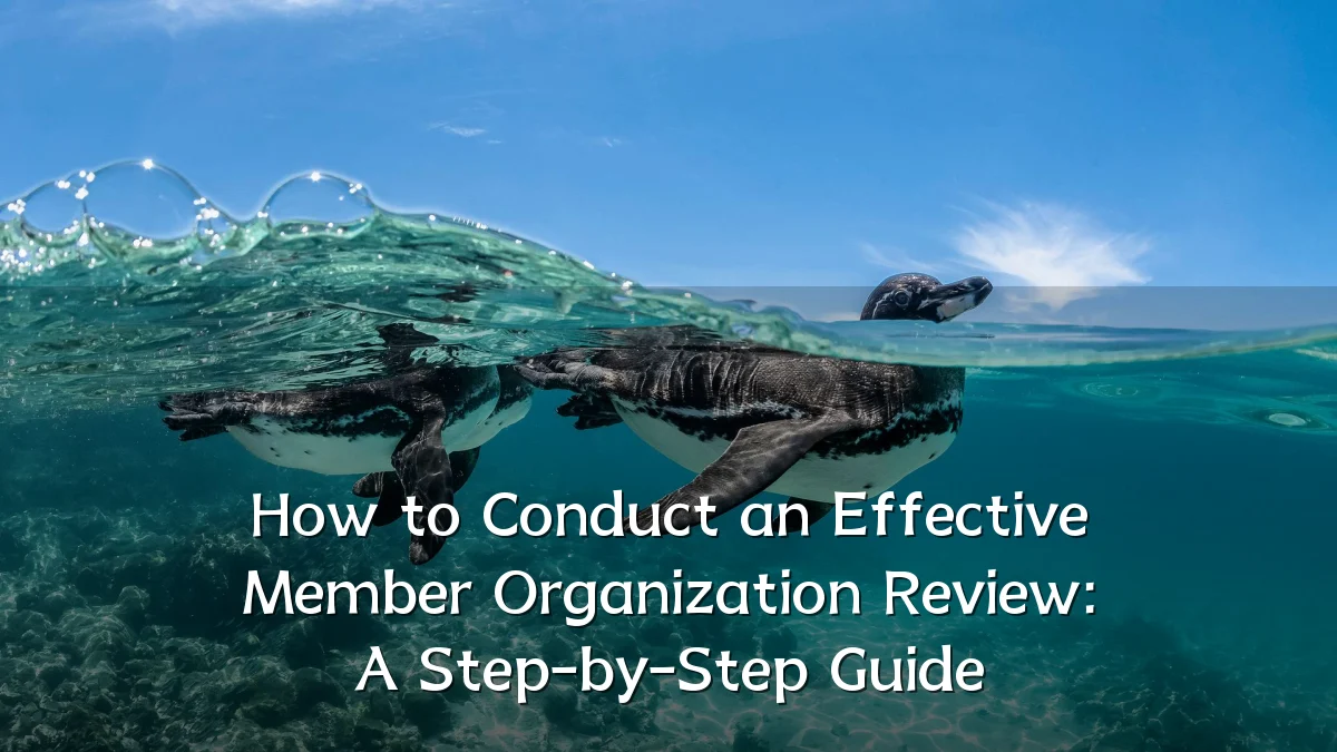 How to Conduct an Effective Member Organization Review: A Step-by-Step Guide