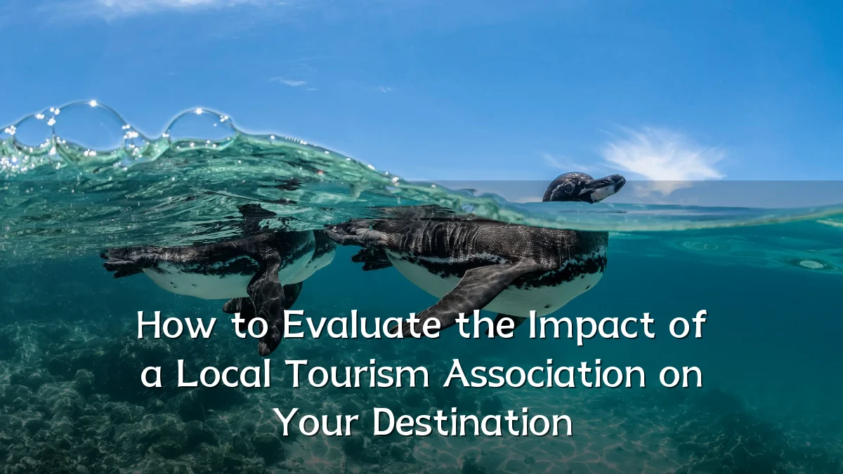 How to Evaluate the Impact of a Local Tourism Association on Your Destination