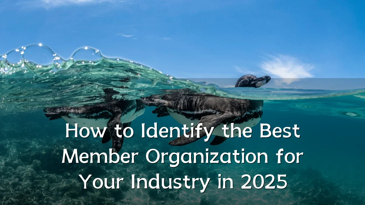 How to Identify the Best Member Organization for Your Industry in 2025
