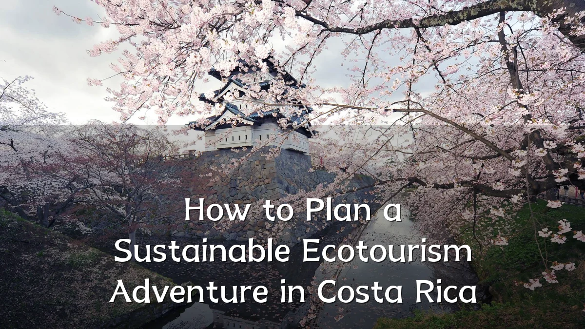 How to Plan a Sustainable Ecotourism Adventure in Costa Rica