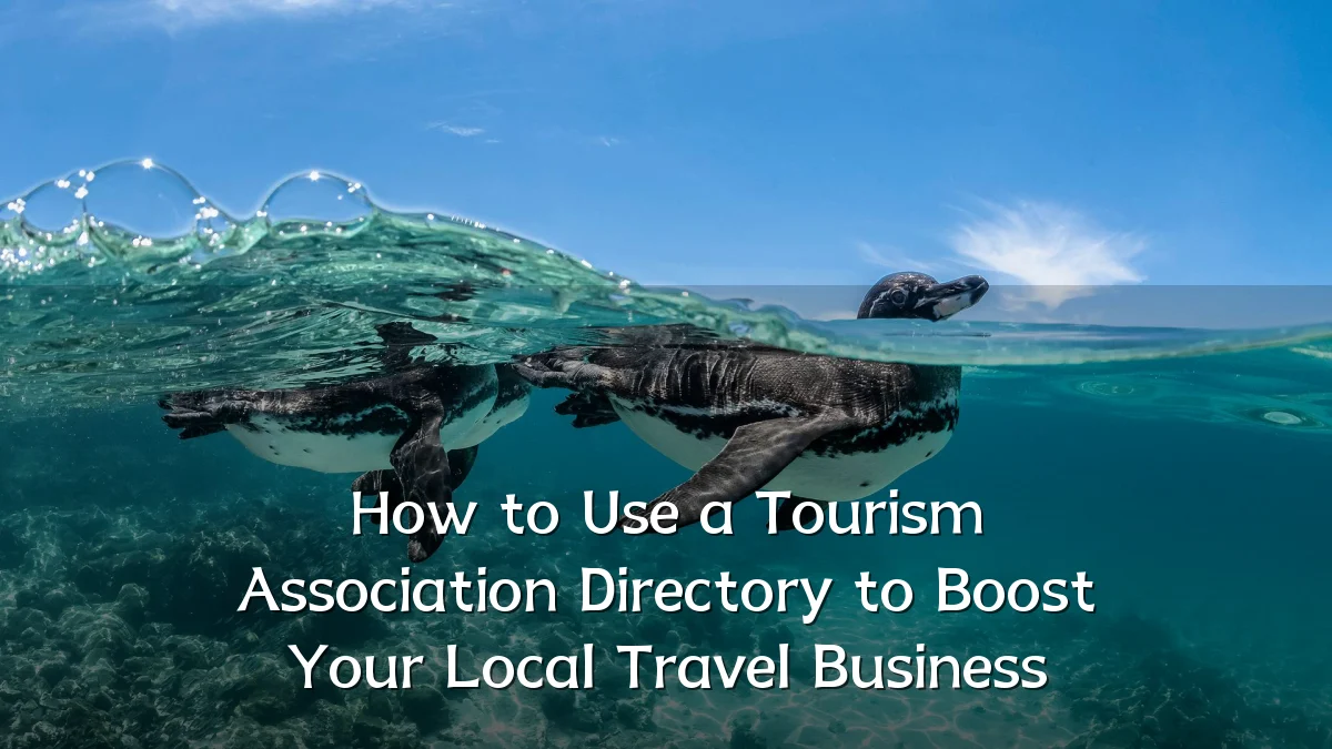 How to Use a Tourism Association Directory to Boost Your Local Travel Business
