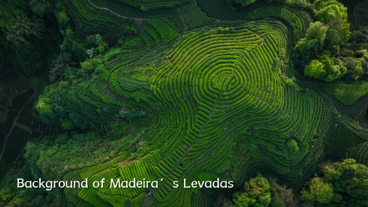Background of Madeira’s Levadas