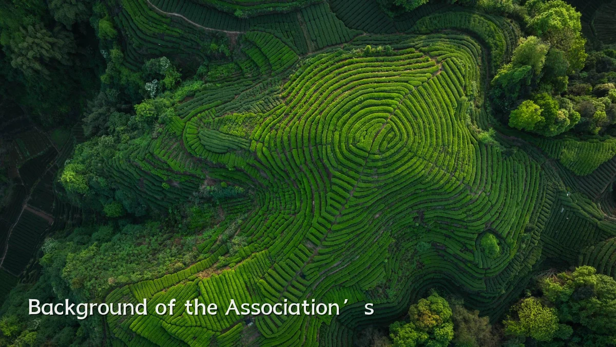 Background of the Association’s