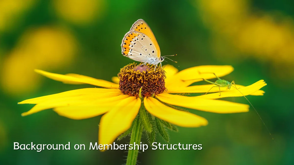Background on Membership Structures