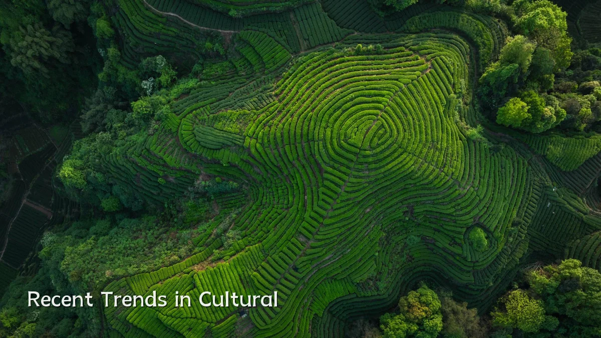 Recent Trends in Cultural