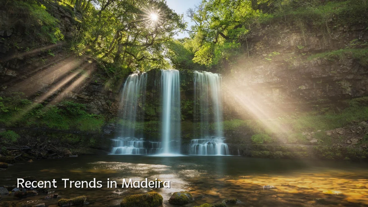 Recent Trends in Madeira