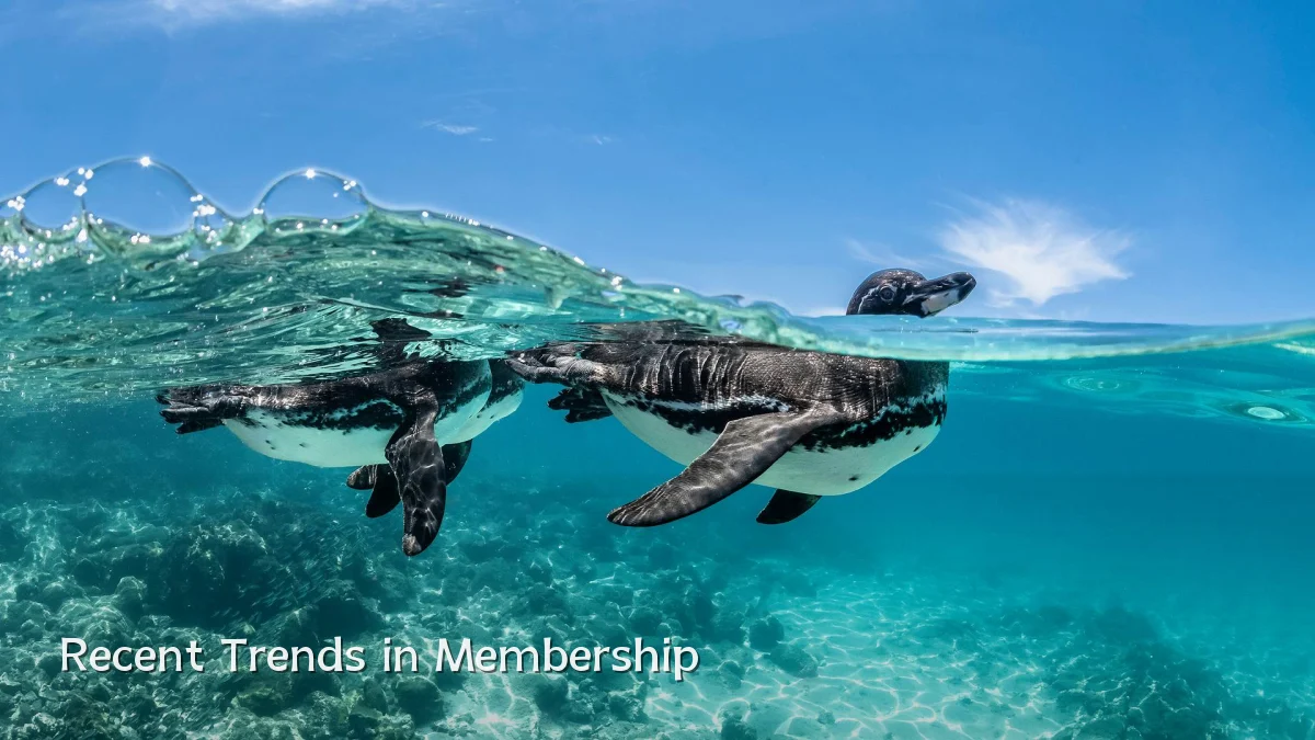 Recent Trends in Membership