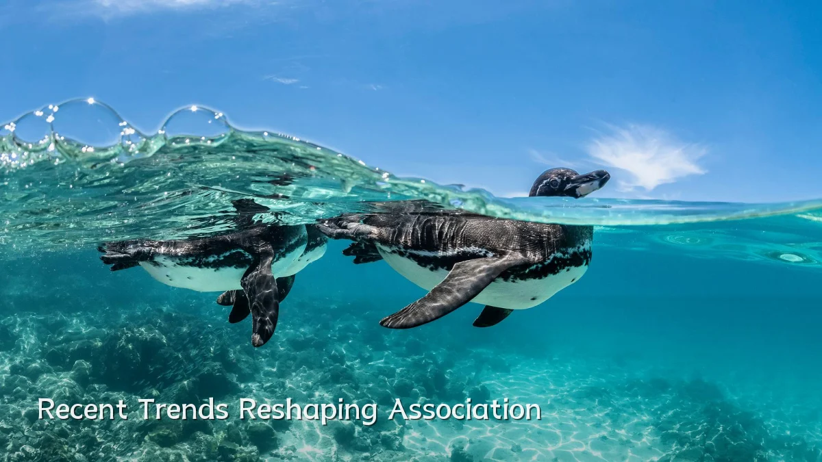 Recent Trends Reshaping Association