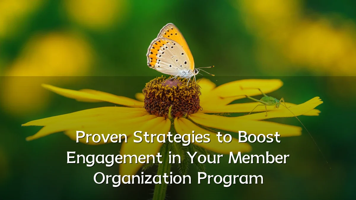 Proven Strategies to Boost Engagement in Your Member Organization Program