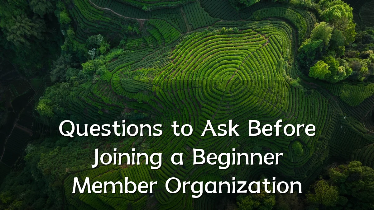 Questions to Ask Before Joining a Beginner Member Organization