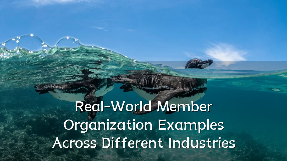 Real-World Member Organization Examples Across Different Industries