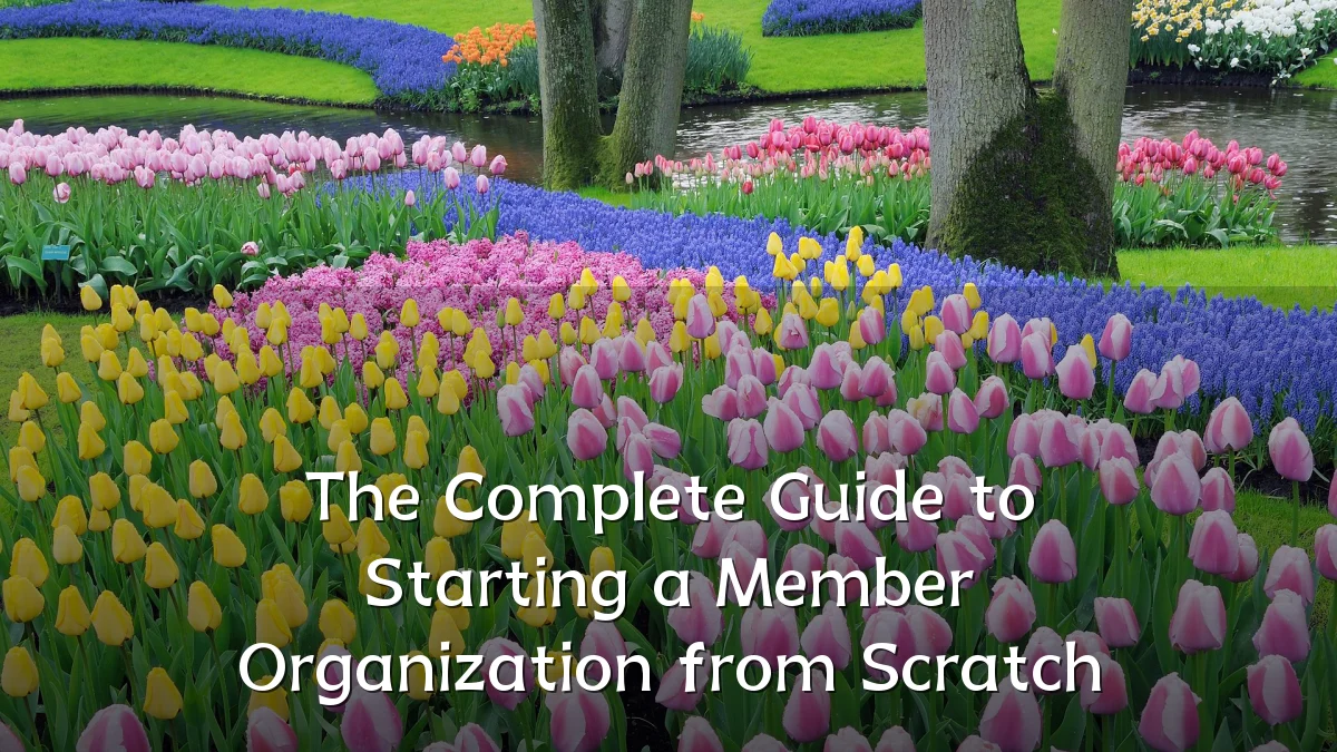 The Complete Guide to Starting a Member Organization from Scratch