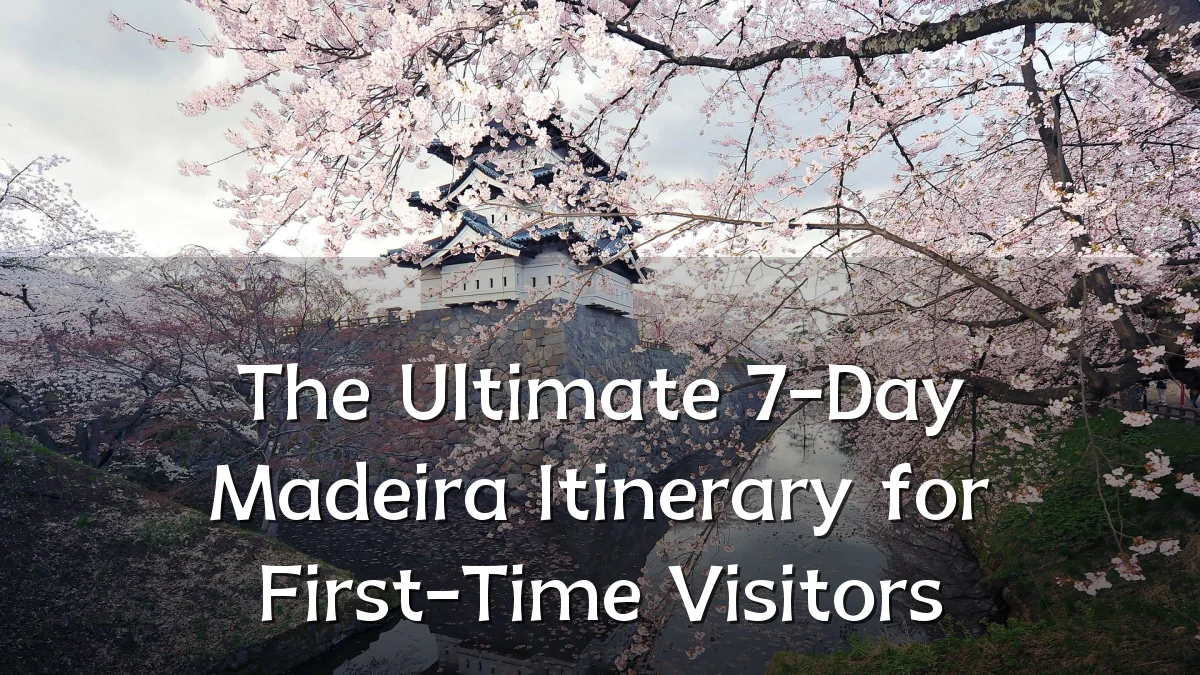 The Ultimate 7-Day Madeira Itinerary for First-Time Visitors