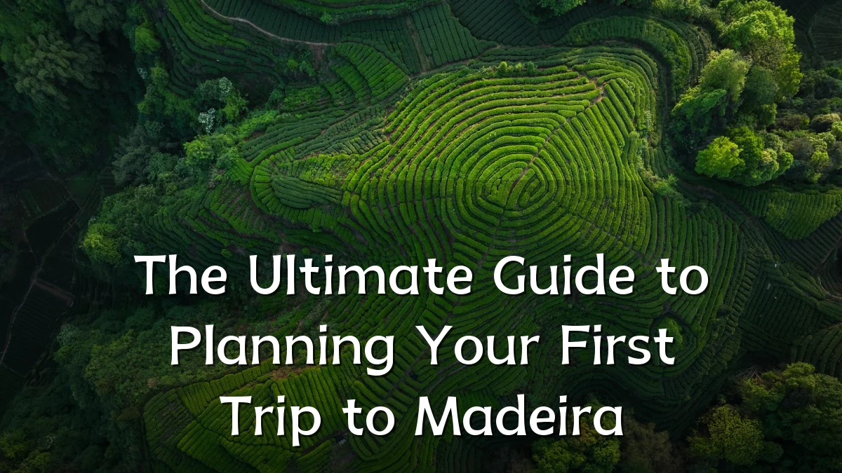 The Ultimate Guide to Planning Your First Trip to Madeira
