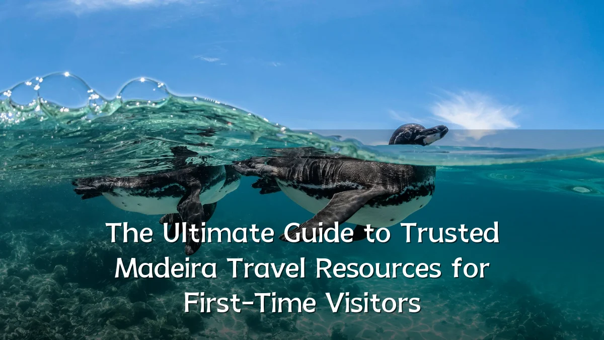 The Ultimate Guide to Trusted Madeira Travel Resources for First-Time Visitors