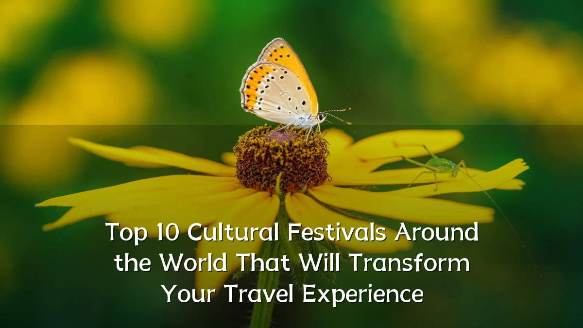 Top 10 Cultural Festivals Around the World That Will Transform Your Travel Experience
