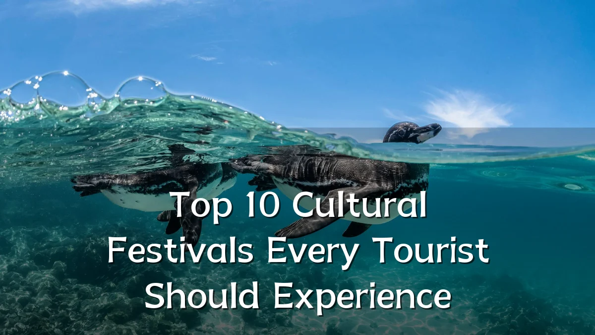 Top 10 Cultural Festivals Every Tourist Should Experience