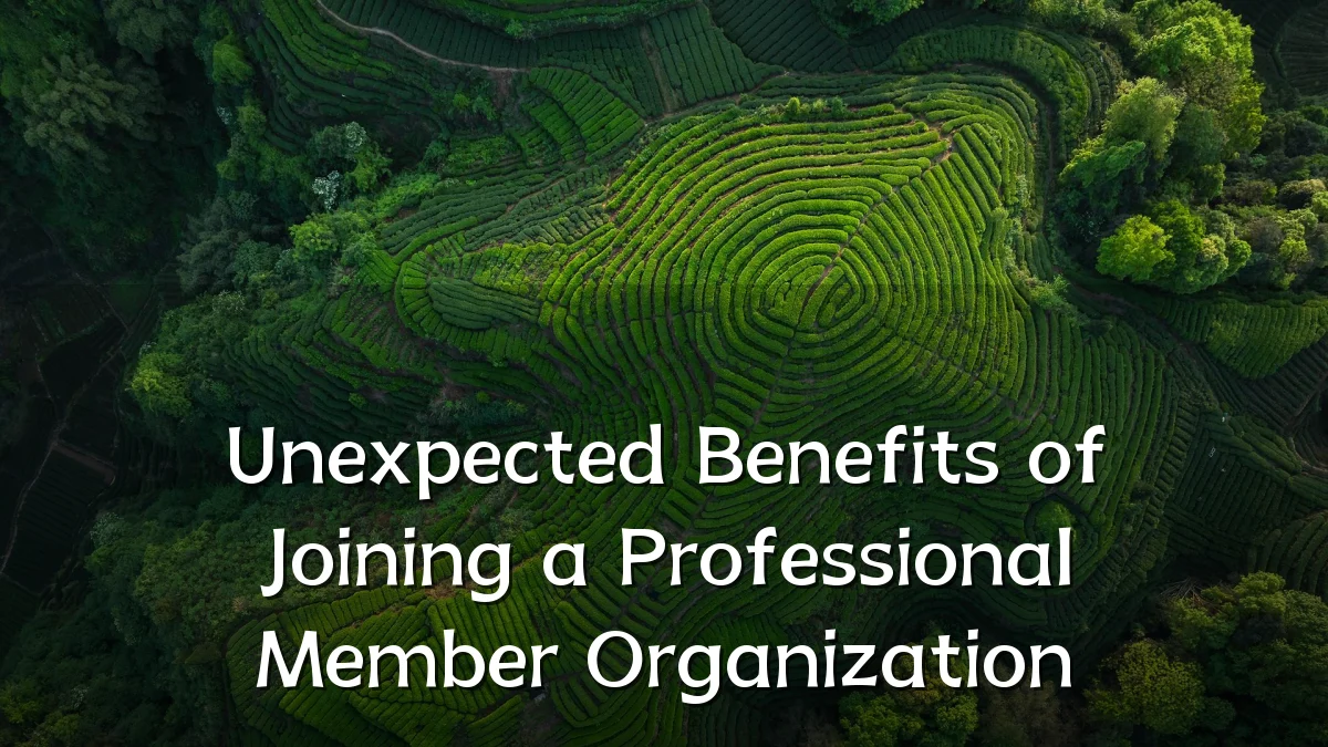 Unexpected Benefits of Joining a Professional Member Organization