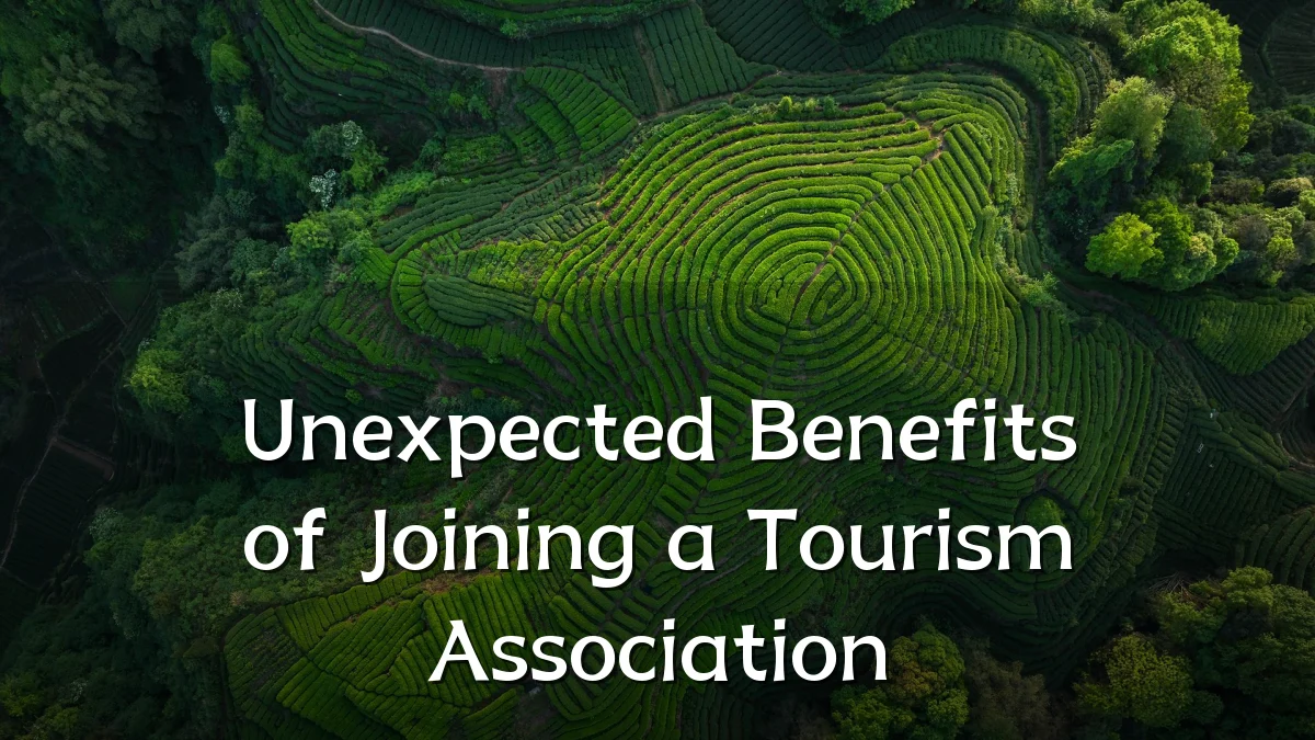 Unexpected Benefits of Joining a Tourism Association
