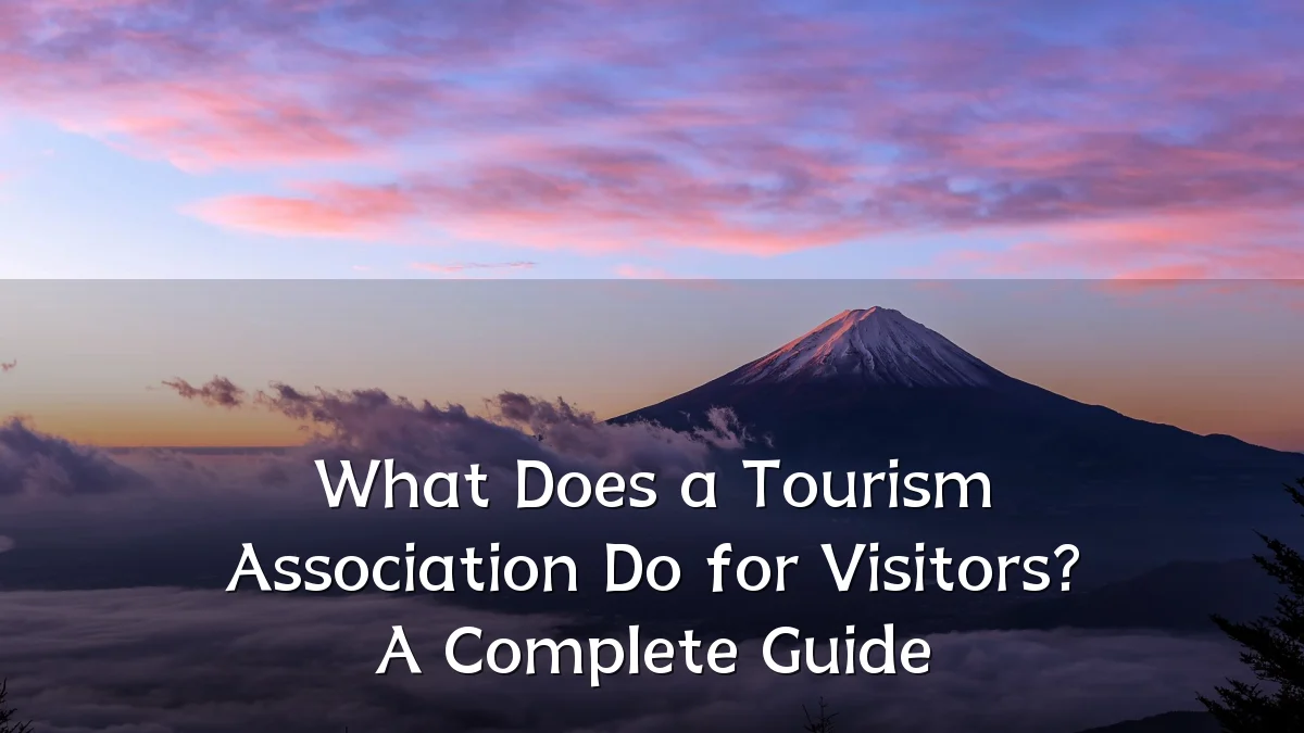 What Does a Tourism Association Do for Visitors? A Complete Guide