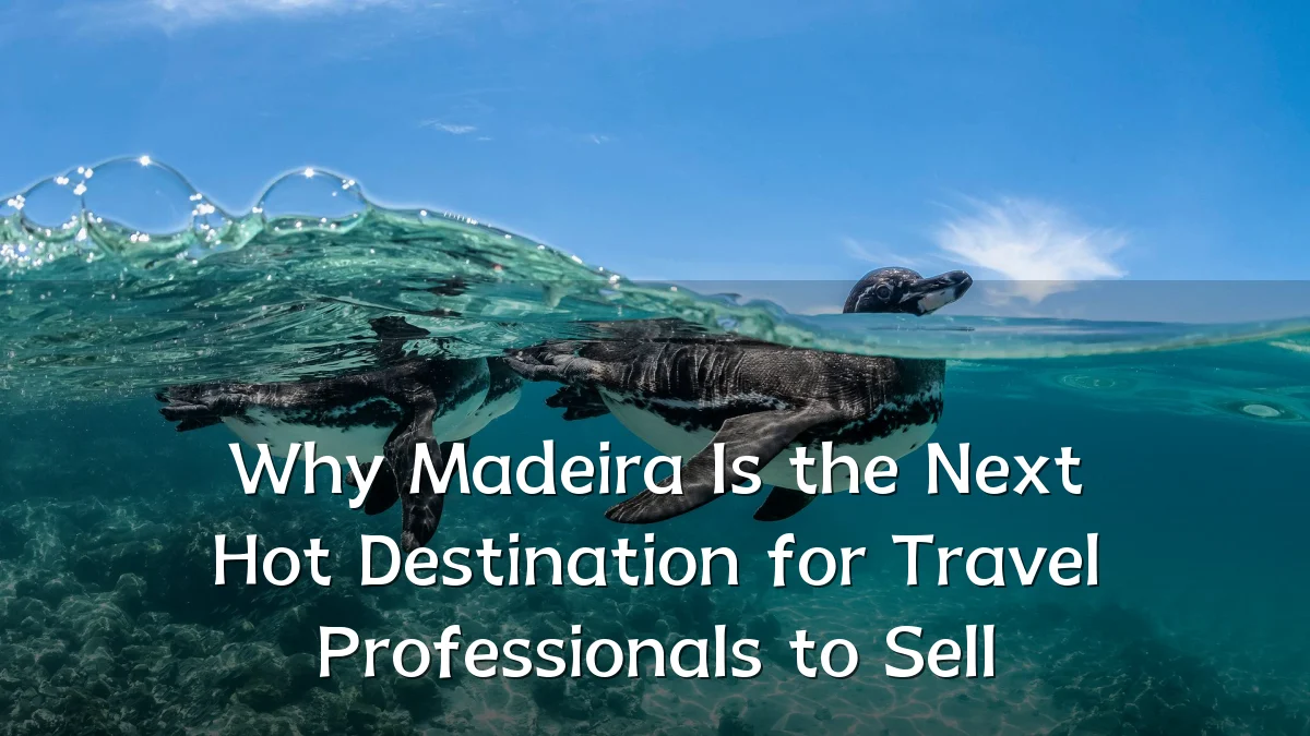 Why Madeira Is the Next Hot Destination for Travel Professionals to Sell