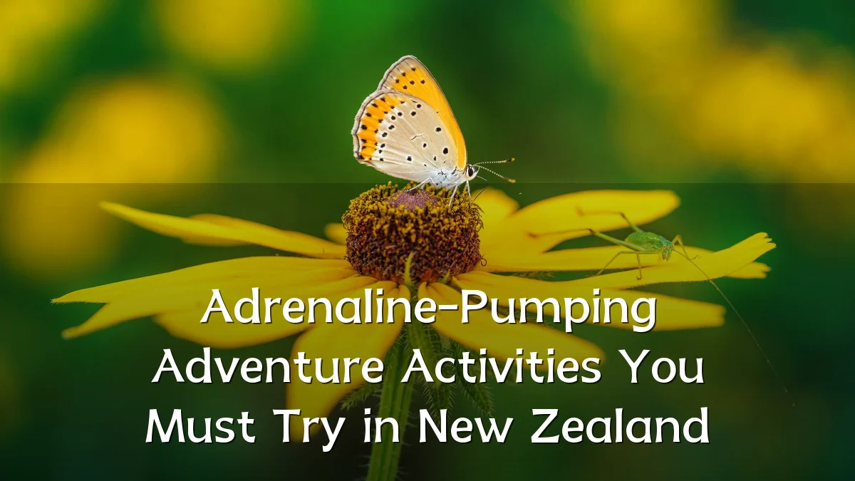 Adrenaline-Pumping Adventure Activities You Must Try in New Zealand