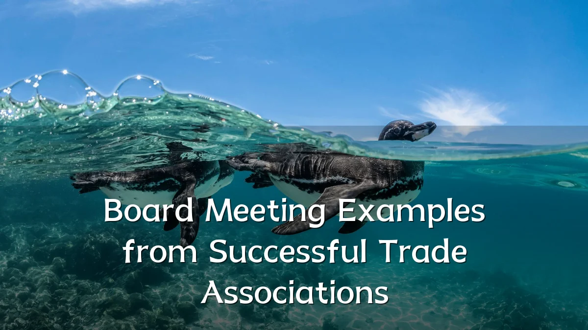 Board Meeting Examples from Successful Trade Associations