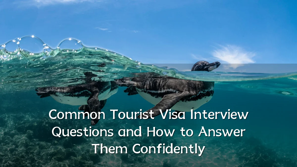 Common Tourist Visa Interview Questions and How to Answer Them Confidently