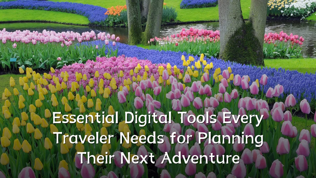 Essential Digital Tools Every Traveler Needs for Planning Their Next Adventure