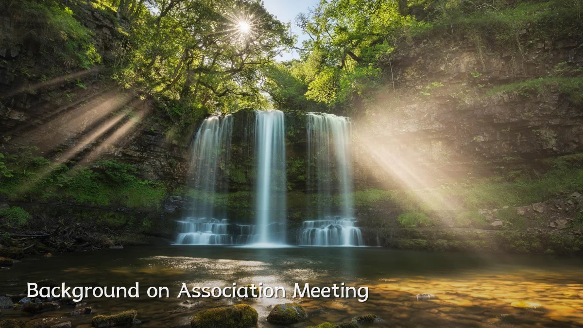 Background on Association Meeting