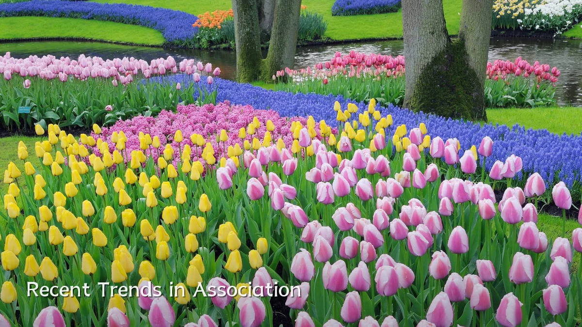 Recent Trends in Association