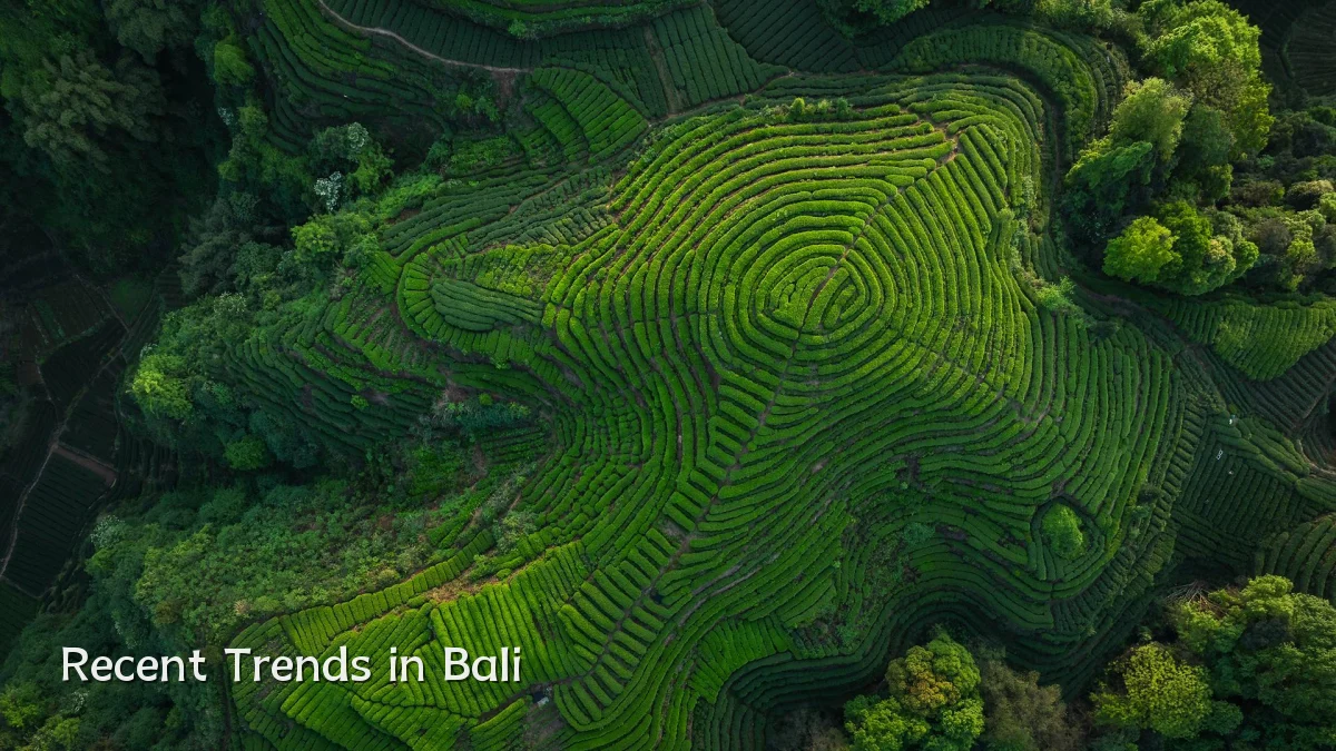 Recent Trends in Bali