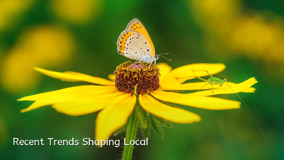 Recent Trends Shaping Local