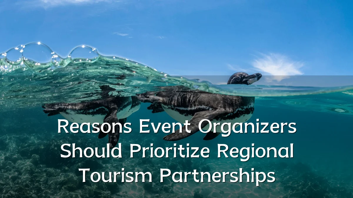 Reasons Event Organizers Should Prioritize Regional Tourism Partnerships