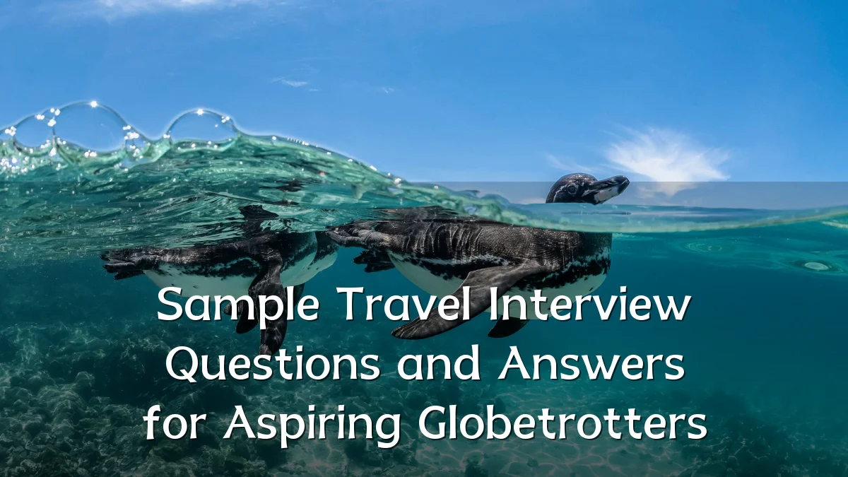 Sample Travel Interview Questions and Answers for Aspiring Globetrotters