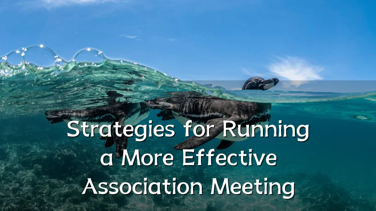 Strategies for Running a More Effective Association Meeting