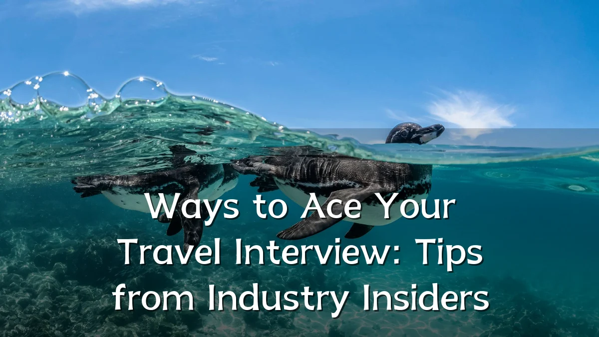 Ways to Ace Your Travel Interview: Tips from Industry Insiders