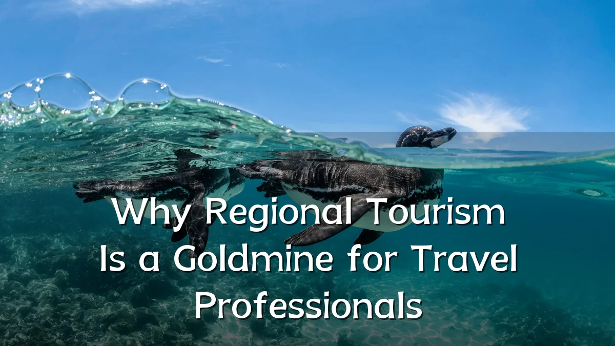 Why Regional Tourism Is a Goldmine for Travel Professionals