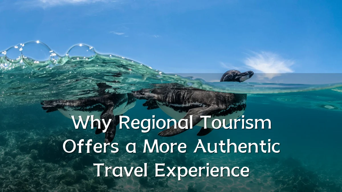 Why Regional Tourism Offers a More Authentic Travel Experience